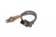 Bosch Lambda Sensor 281004028