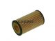 Fram Oil Filter CH9301ECO